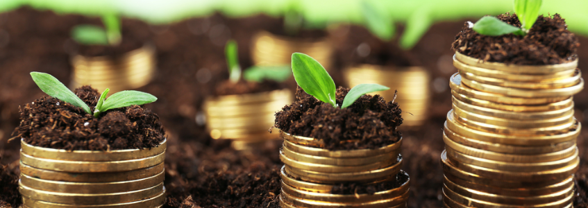 What Are the Minimum Investment and Fees?